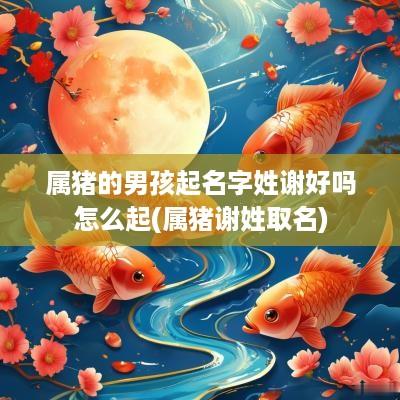 属猪的男孩起名字姓谢好吗怎么起(属猪谢姓取名)