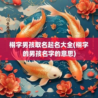 栩字男孩取名起名大全(栩字的男孩名字的意思)