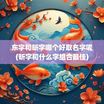 东字和昕字哪个好取名字呢(昕字和什么字组合最佳)