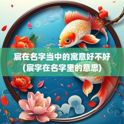 宸在名字当中的寓意好不好(宸字在名字里的意思)