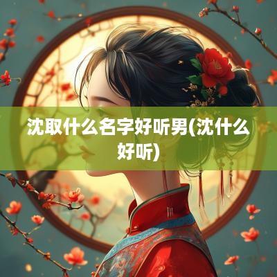 沈取什么名字好听男(沈什么好听)