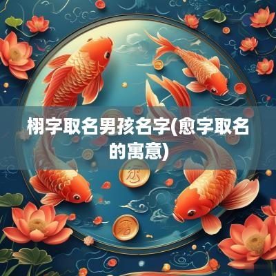 栩字取名男孩名字(愈字取名的寓意)