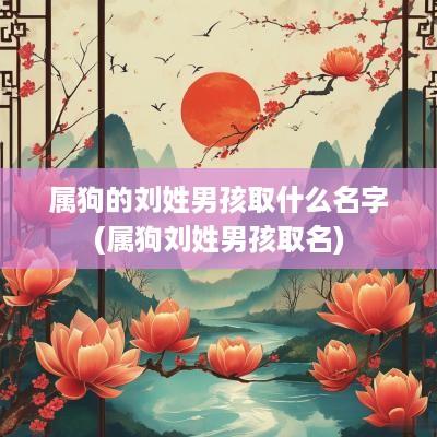 属狗的刘姓男孩取什么名字(属狗刘姓男孩取名)