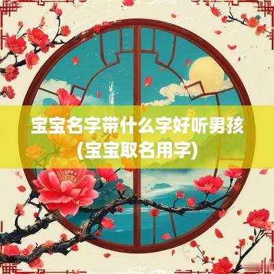 宝宝名字带什么字好听男孩(宝宝取名用字)