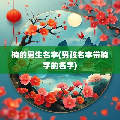 楠的男生名字(男孩名字带楠字的名字)