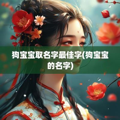 狗宝宝取名字最佳字(狗宝宝的名字)