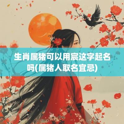 生肖属猪可以用宸这字起名吗(属猪人取名宜忌)