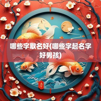 哪些字取名好(哪些字起名字好男孩)