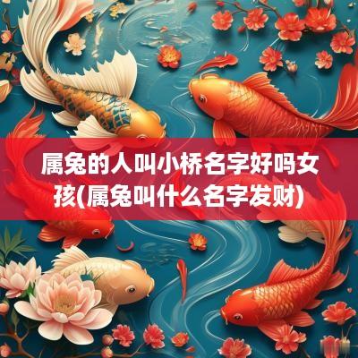 属兔的人叫小桥名字好吗女孩(属兔叫什么名字发财)