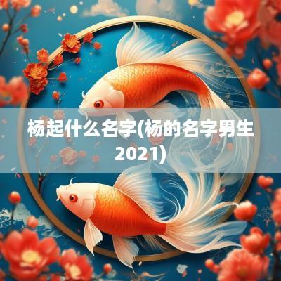 杨起什么名字(杨的名字男生2025)