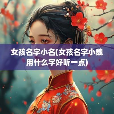 女孩名字小名(女孩名字小魏用什么字好听一点)