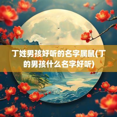 丁姓男孩好听的名字属鼠(丁的男孩什么名字好听)