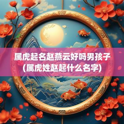 属虎起名赵燕云好吗男孩子(属虎姓赵起什么名字)