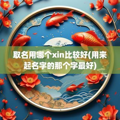 取名用哪个xin比较好(用来起名字的那个字最好)