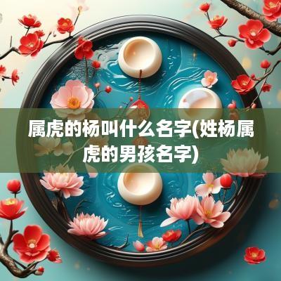 属虎的杨叫什么名字(姓杨属虎的男孩名字)
