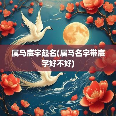 属马宸字起名(属马名字带宸字好不好)