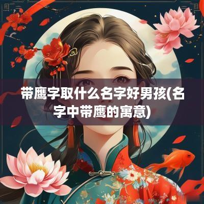 带鹰字取什么名字好男孩(名字中带鹰的寓意)