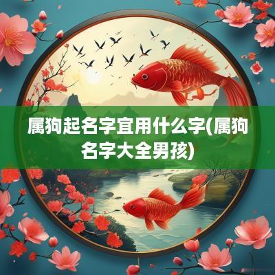 属狗起名字宜用什么字(属狗名字大全男孩)