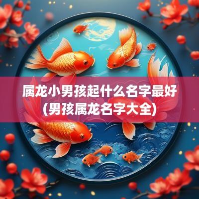 属龙小男孩起什么名字最好(男孩属龙名字大全)