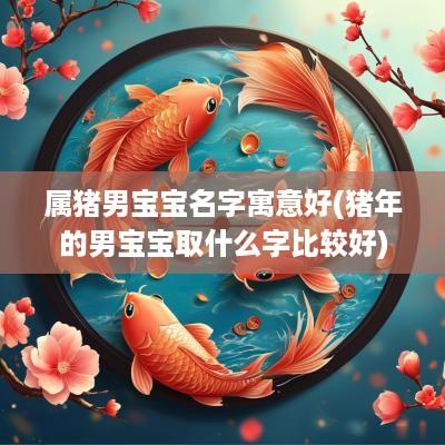 属猪男宝宝名字寓意好(猪年的男宝宝取什么字比较好)
