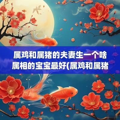 属鸡和属猪的夫妻生一个啥属相的宝宝最好(属鸡和属猪姐妹起名子好吗)