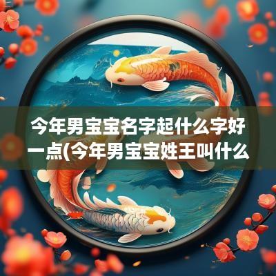 今年男宝宝名字起什么字好一点(今年男宝宝姓王叫什么名字好呀)