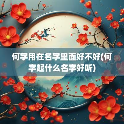 何字用在名字里面好不好(何字起什么名字好听)