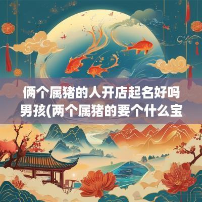 俩个属猪的人开店起名好吗男孩(两个属猪的要个什么宝宝好)