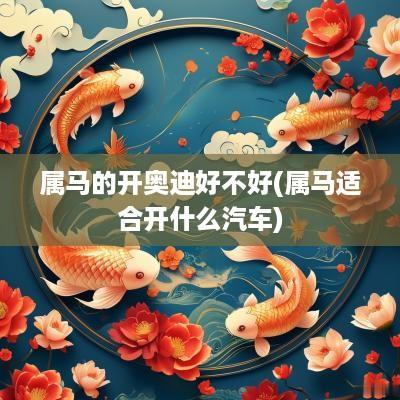 属马的开奥迪好不好(属马适合开什么汽车)