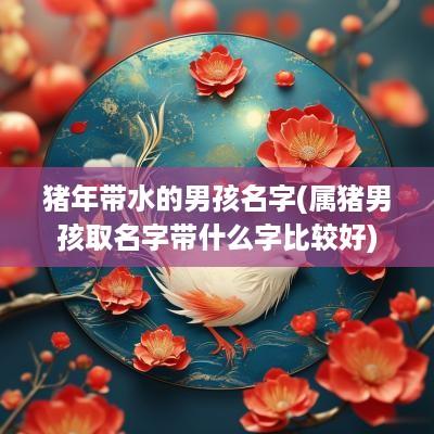 猪年带水的男孩名字(属猪男孩取名字带什么字比较好)