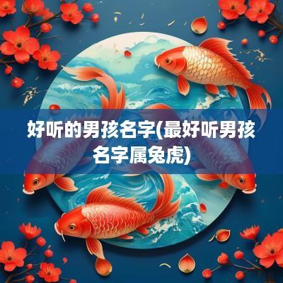 好听的男孩名字(最好听男孩名字属兔虎)
