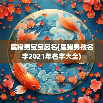 属猪男宝宝起名(属猪男孩名字2025年名字大全)