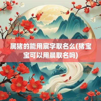 属猪的能用宸字取名么(猪宝宝可以用晨取名吗)