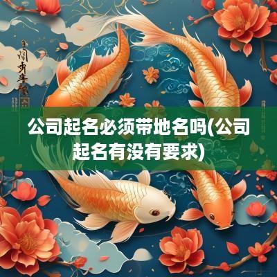 公司起名必须带地名吗(公司起名有没有要求)