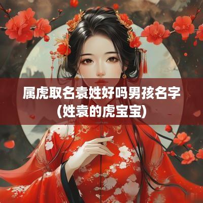 属虎取名袁姓好吗男孩名字(姓袁的虎宝宝)