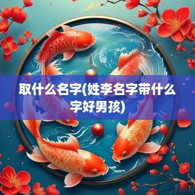 取什么名字(姓李名字带什么字好男孩)