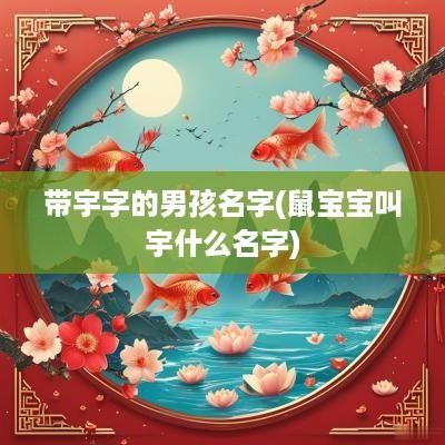 带宇字的男孩名字(鼠宝宝叫宇什么名字)