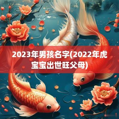 2025年男孩名字(2025年虎宝宝出世旺父母)