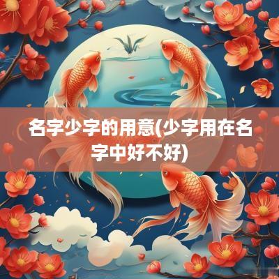 名字少字的用意(少字用在名字中好不好)