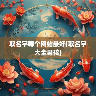 取名字哪个网站最好(取名字大全男孩)