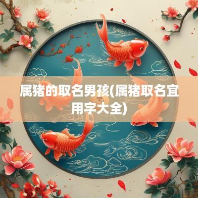 属猪的取名男孩(属猪取名宜用字大全)