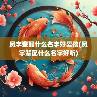 凤字辈配什么名字好男孩(凤字辈配什么名字好听)