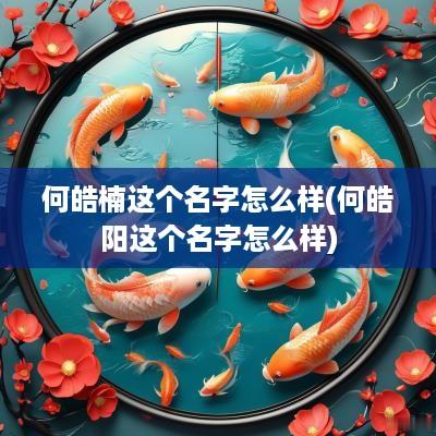 何皓楠这个名字怎么样(何皓阳这个名字怎么样)