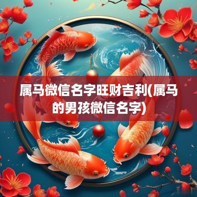 属马微信名字旺财吉利(属马的男孩微信名字)