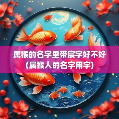 属猴的名字里带宸字好不好(属猴人的名字用字)