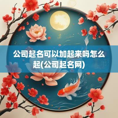 公司起名可以加起来吗怎么起(公司起名网)