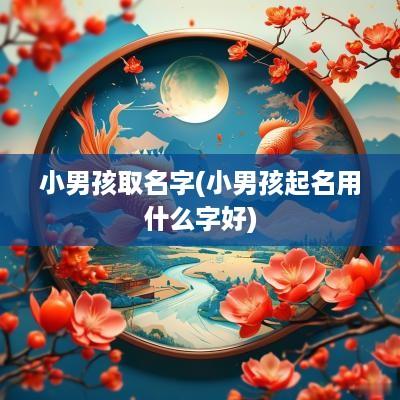 小男孩取名字(小男孩起名用什么字好)