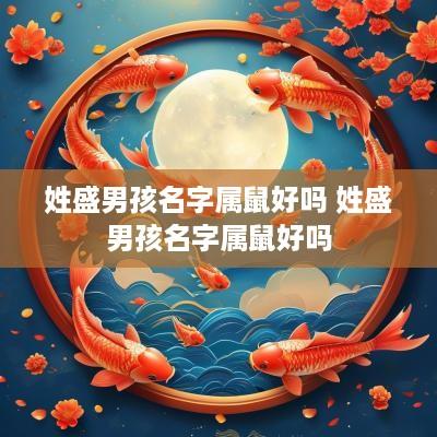 姓盛男孩名字属鼠好吗 姓盛男孩名字属鼠好吗
