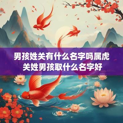 男孩姓关有什么名字吗属虎 关姓男孩取什么名字好