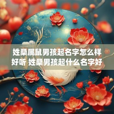 姓桑属鼠男孩起名字怎么样好听 姓桑男孩起什么名字好